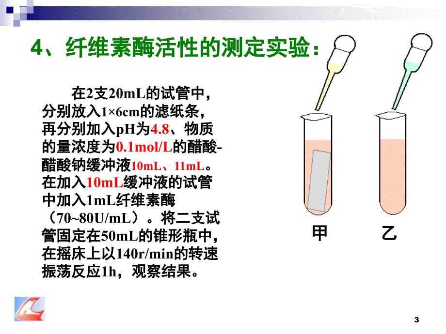 分解纤维素的微生物的分离知识点课堂PPT_第3页