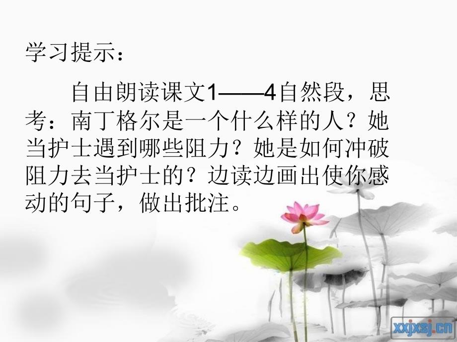 提灯女神课件z_第4页