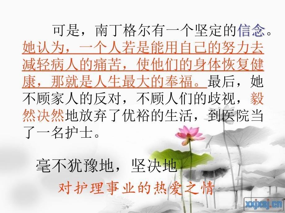 提灯女神课件z_第5页