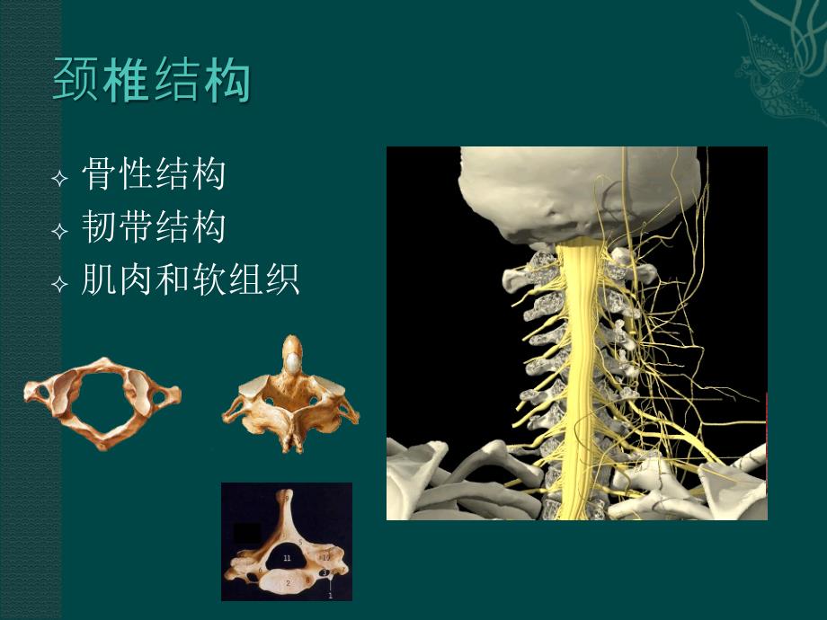 颈椎病的治疗与预防幻灯片ppt课件_第4页