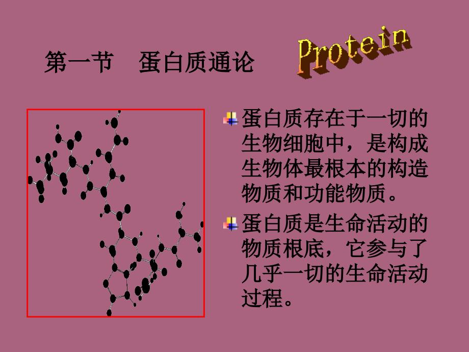 第1章蛋白质组成成分和氨基酸ppt课件_第2页