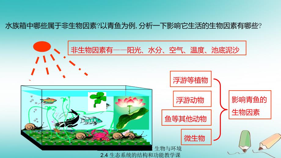 最新九年级科学下册第2章生物与环境2.4生态系统的结构和功能教学课件1新版浙教版新版浙教级下册自然科学课件_第3页