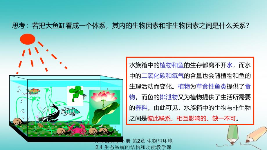 最新九年级科学下册第2章生物与环境2.4生态系统的结构和功能教学课件1新版浙教版新版浙教级下册自然科学课件_第4页