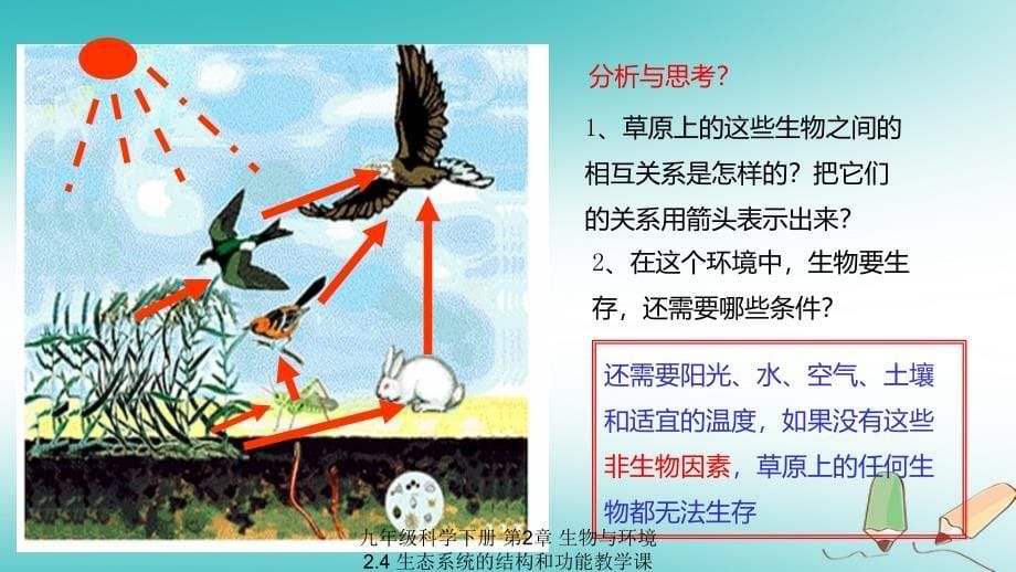 最新九年级科学下册第2章生物与环境2.4生态系统的结构和功能教学课件1新版浙教版新版浙教级下册自然科学课件_第5页