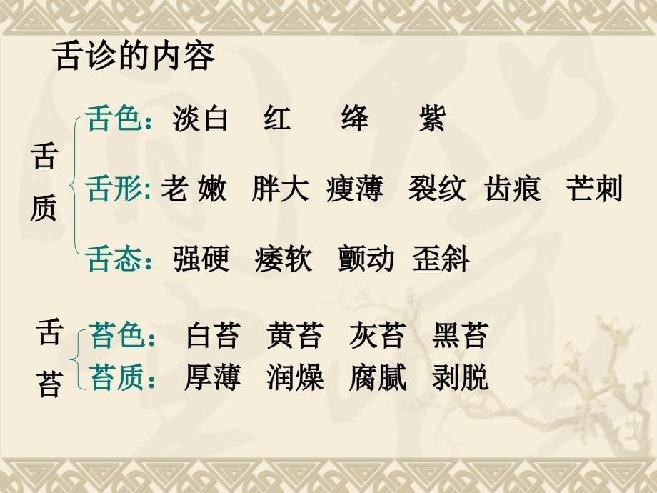 诊法主讲教师周冬枝_第5页