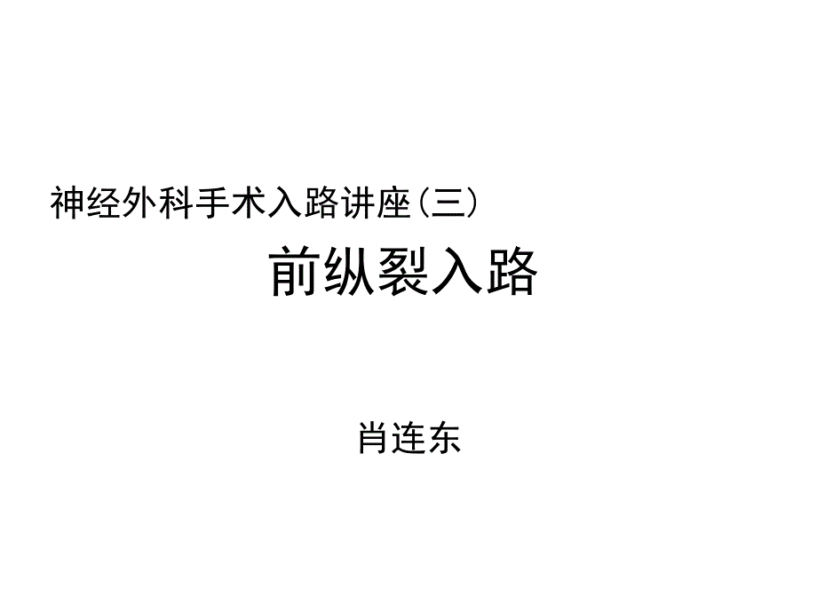 前纵裂入路肖连东PPT课件_第1页