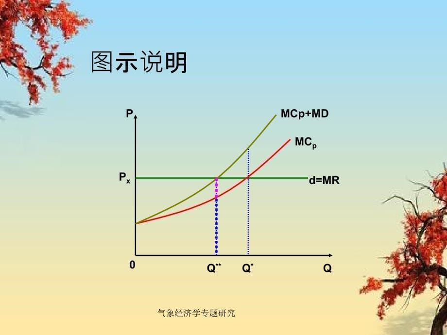 气象经济学专题研究_第5页