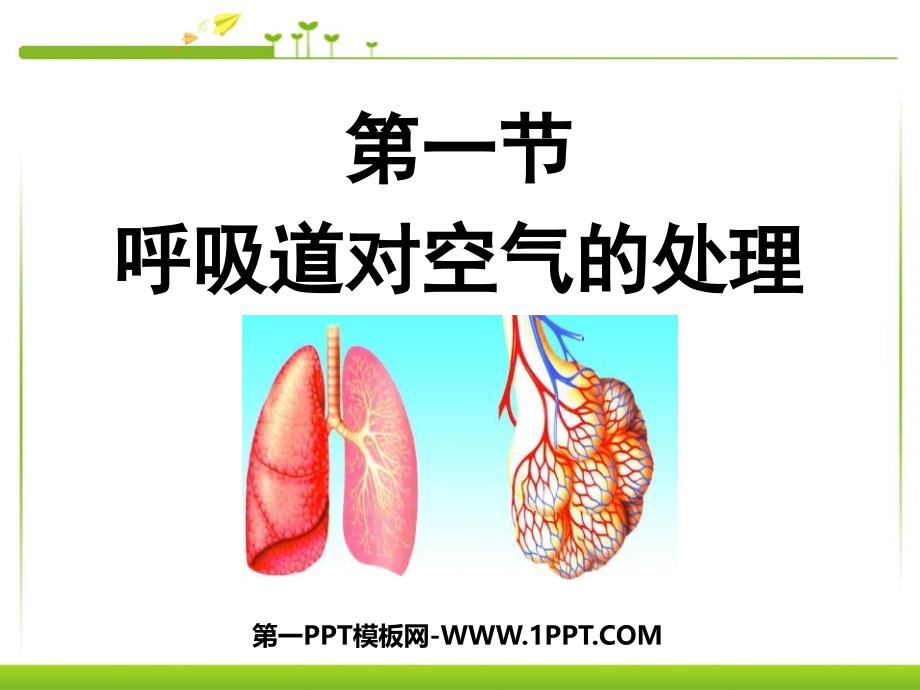 呼吸道对空气的处理新人教版.ppt_第1页