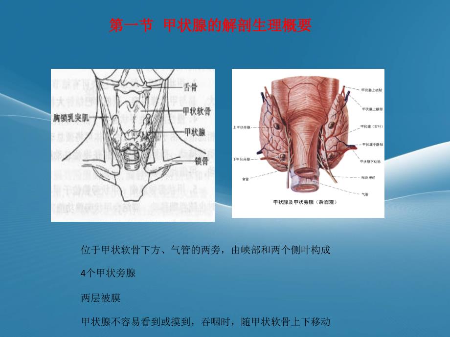 甲状腺围手术期的护理PPT课件02_第4页