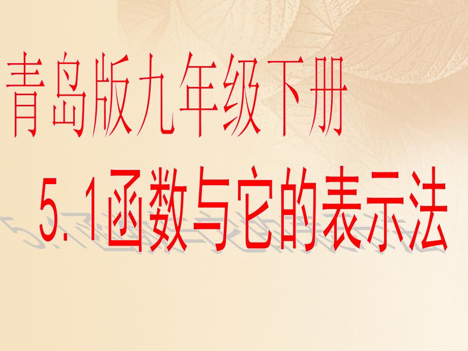 九年级数学下册5.1函数与它的表示法课件3新版青岛版_第1页