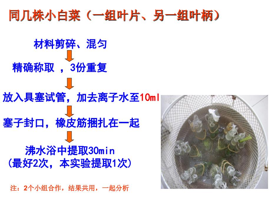 植物生理学实验-植物组织中硝态氮测定_第3页