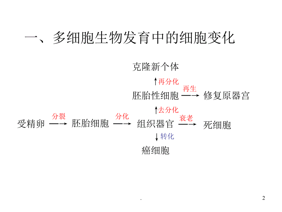 (精品文档)高一生物分化癌症衰老ppt演示课件_第2页