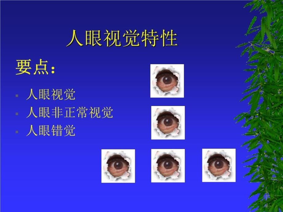 《人眼视觉特性》PPT课件.ppt_第1页