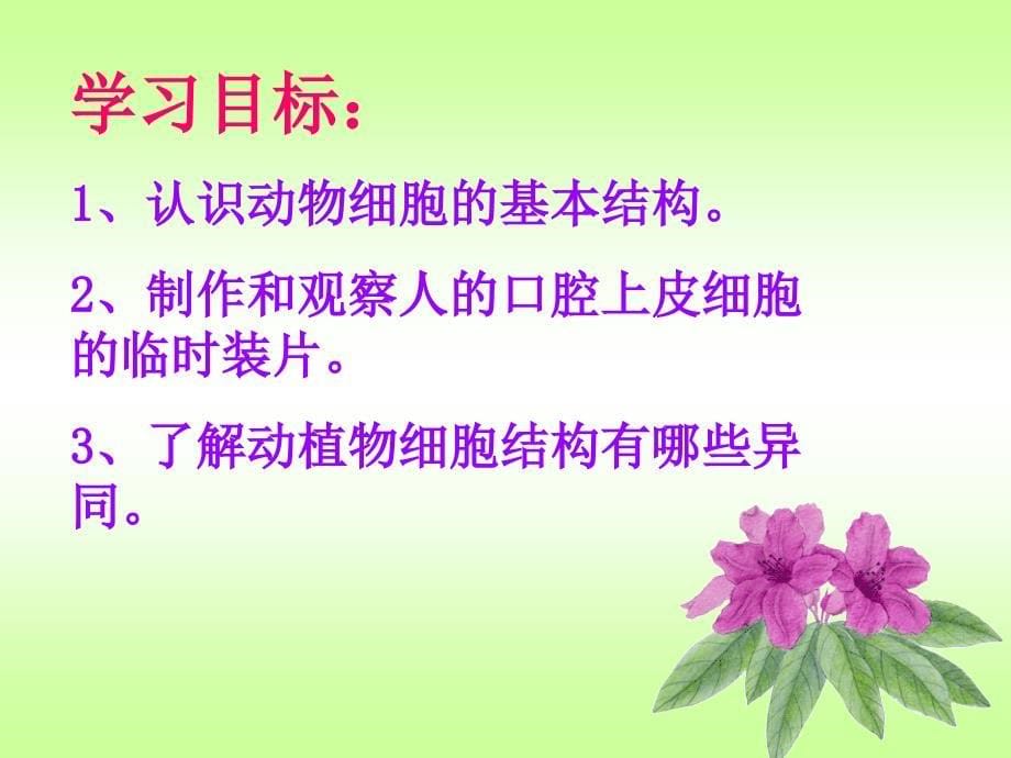 生物观察动物细胞.ppt_第5页