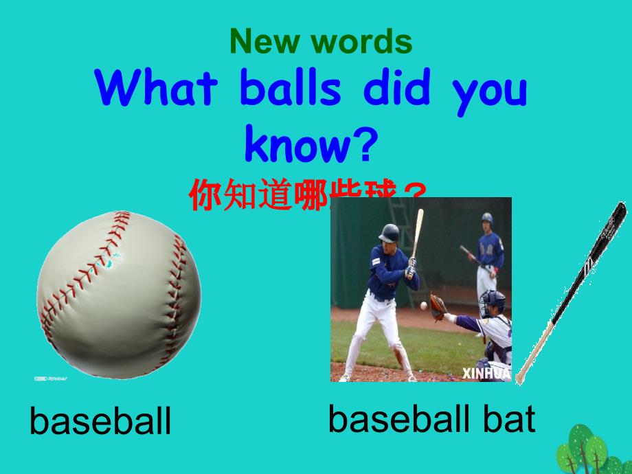 七年级英语上册 Unit 5 Do you have a soccer ball Section A（1a-2c）课件 （新版）人教新目标版.ppt_第2页