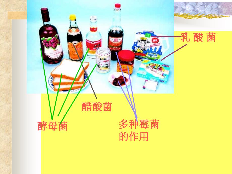 新人教版生物学八年级上册第五单元第五章第二节人类对细菌和真菌的利用精品课件_第3页