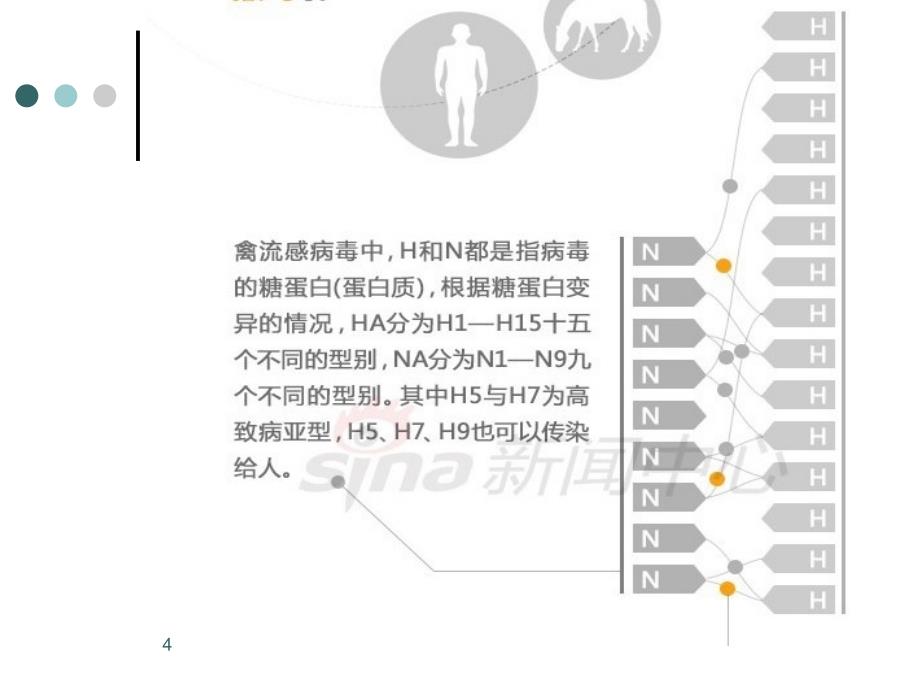 人感染H7N9禽流感诊治流程_第4页