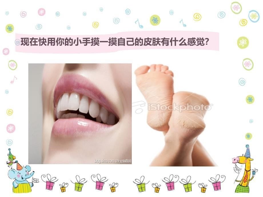 健康《我们的皮肤》.ppt_第5页