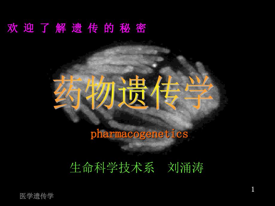 《药物遗传》PPT课件.ppt_第1页