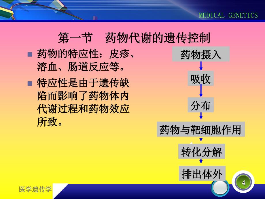 《药物遗传》PPT课件.ppt_第4页