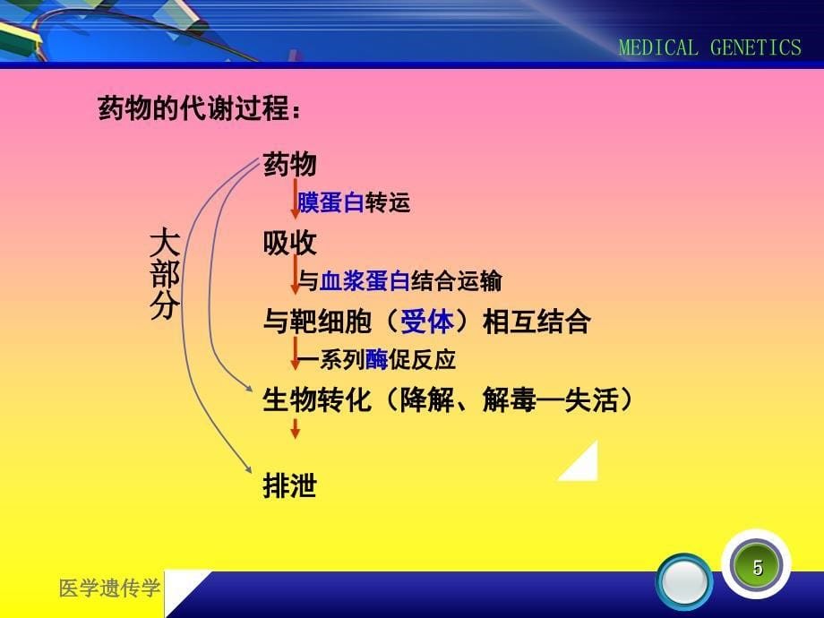 《药物遗传》PPT课件.ppt_第5页