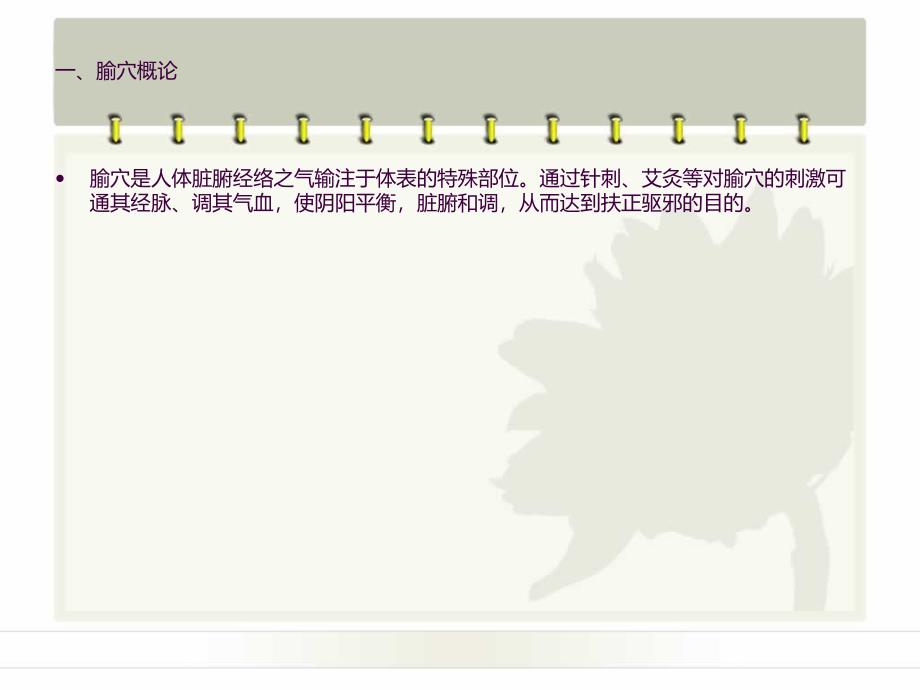 中医常用穴位的定位及主治ppt课件_第2页