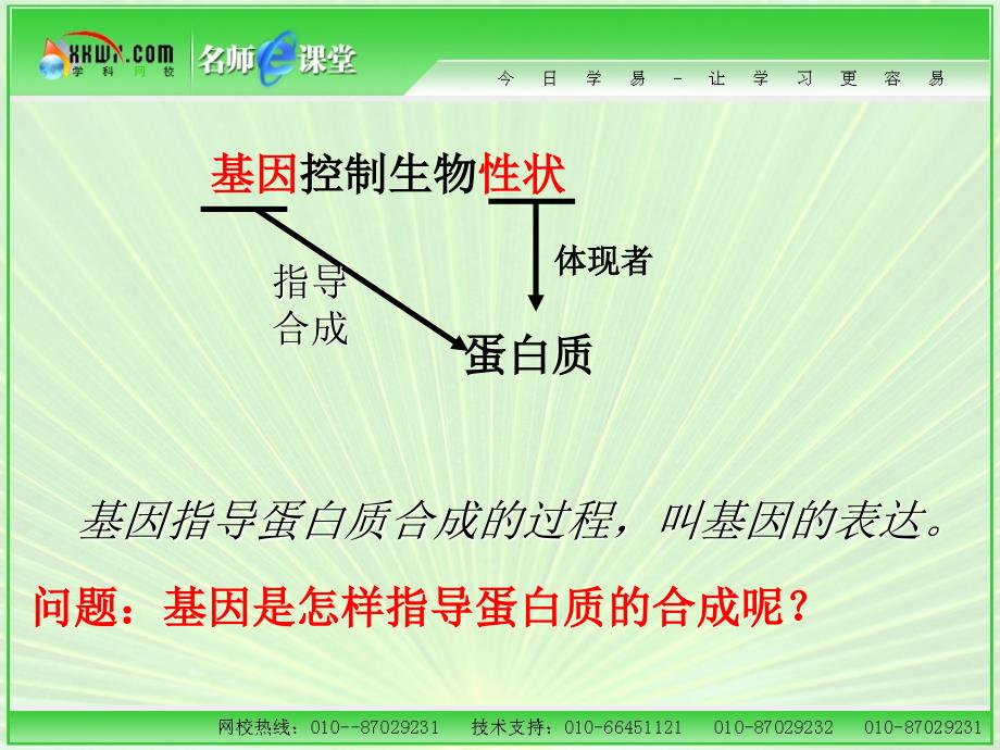 一节基因控制蛋白质的合成_第4页