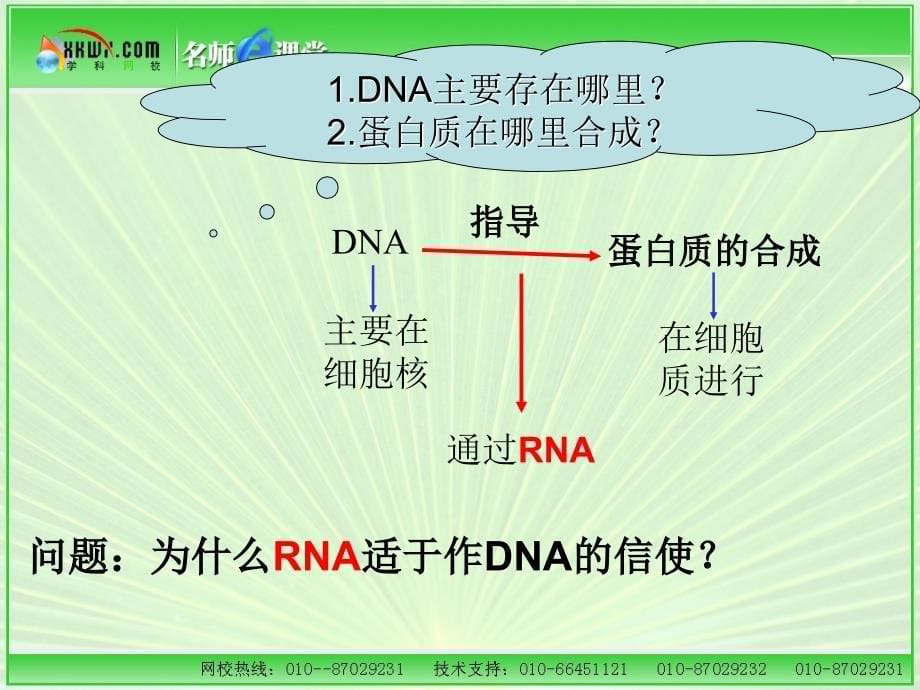 一节基因控制蛋白质的合成_第5页