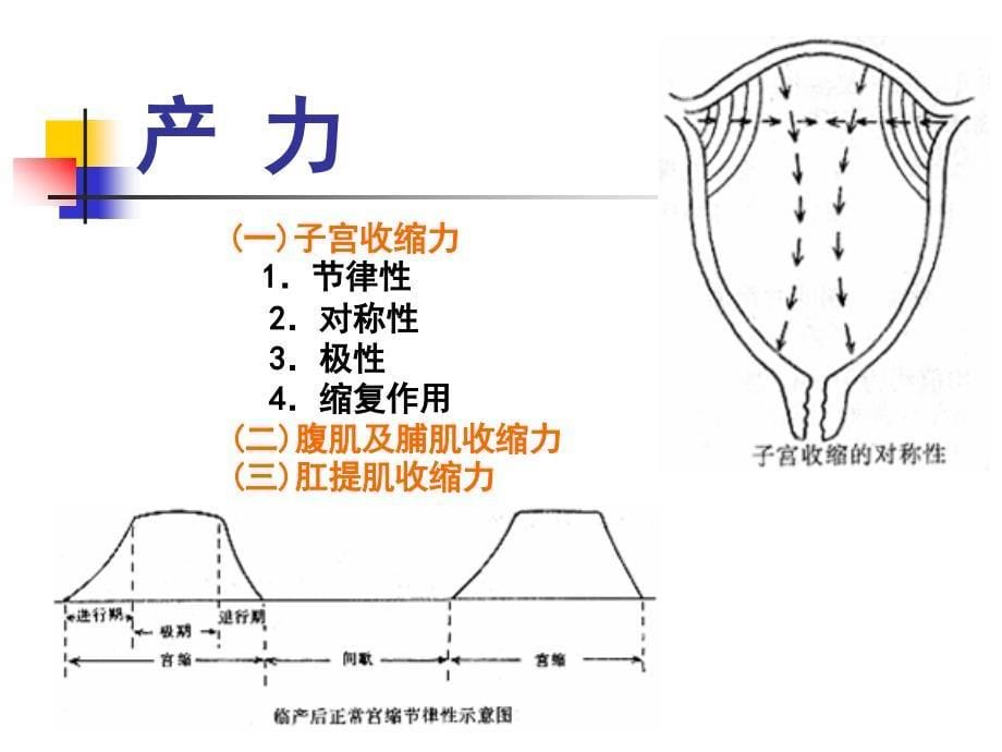 妇产科护理学课程课件3.分娩期妇女的护理_第5页