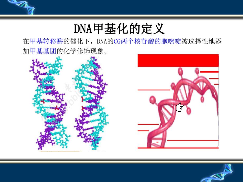 DNA甲基化检测技术_第3页