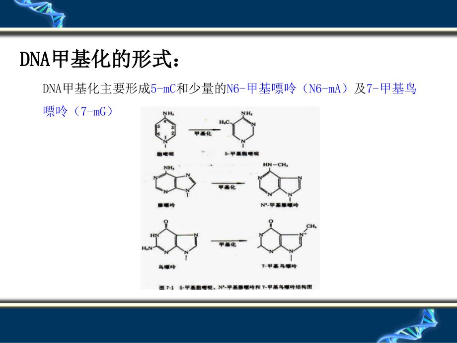 DNA甲基化检测技术_第4页