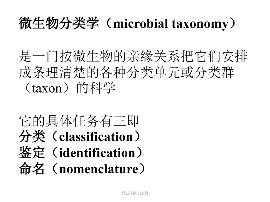 微生物的分类课件_第2页