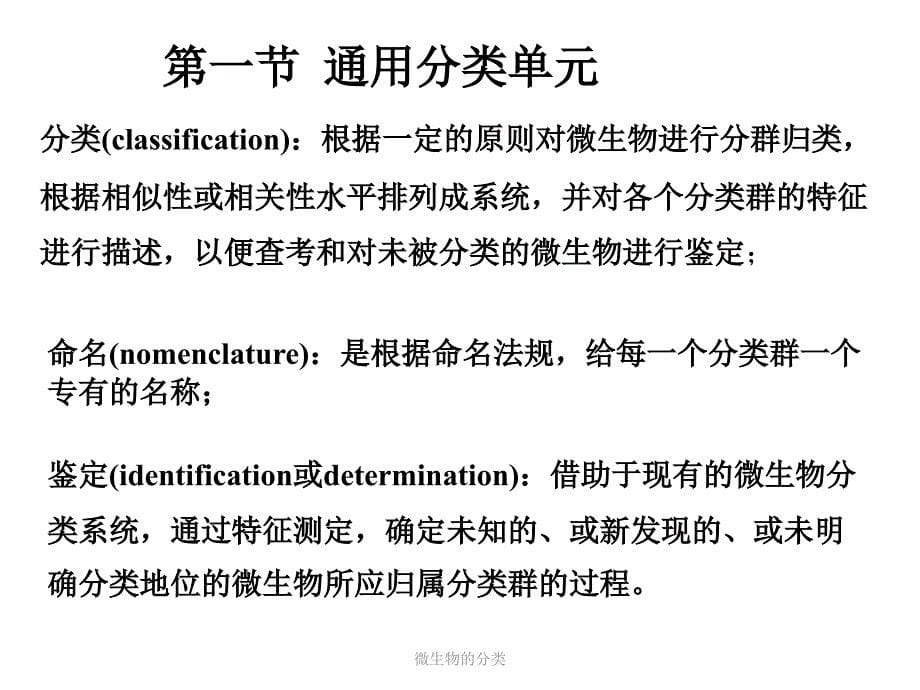 微生物的分类课件_第5页