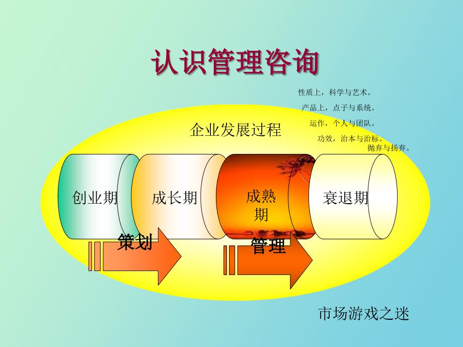 管理咨询的地位_第3页