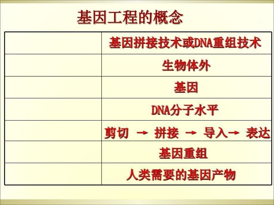 DNA重组技术的基本工具(市级公开课)()解读课件_第5页