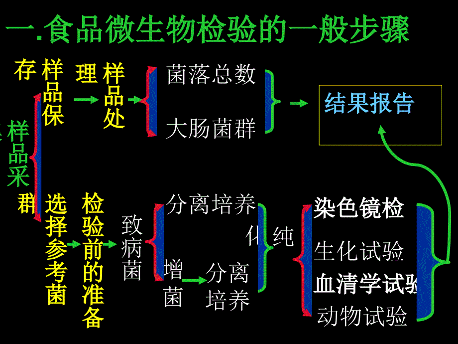 微生物检测基本程序_第3页