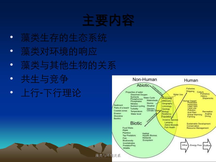 藻类与环境关系_第2页