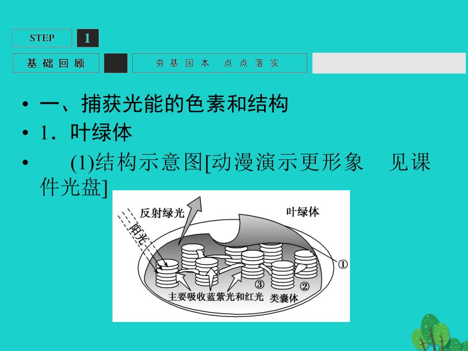 生物第3单元 光合作用与细胞呼吸10 苏教版必修1_第3页