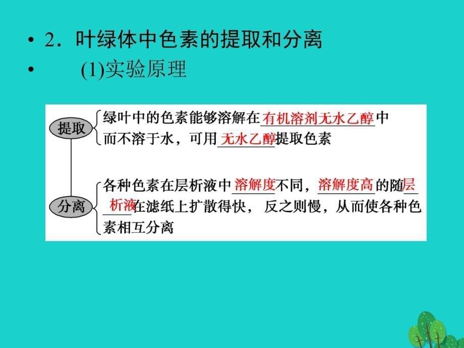 生物第3单元 光合作用与细胞呼吸10 苏教版必修1_第5页