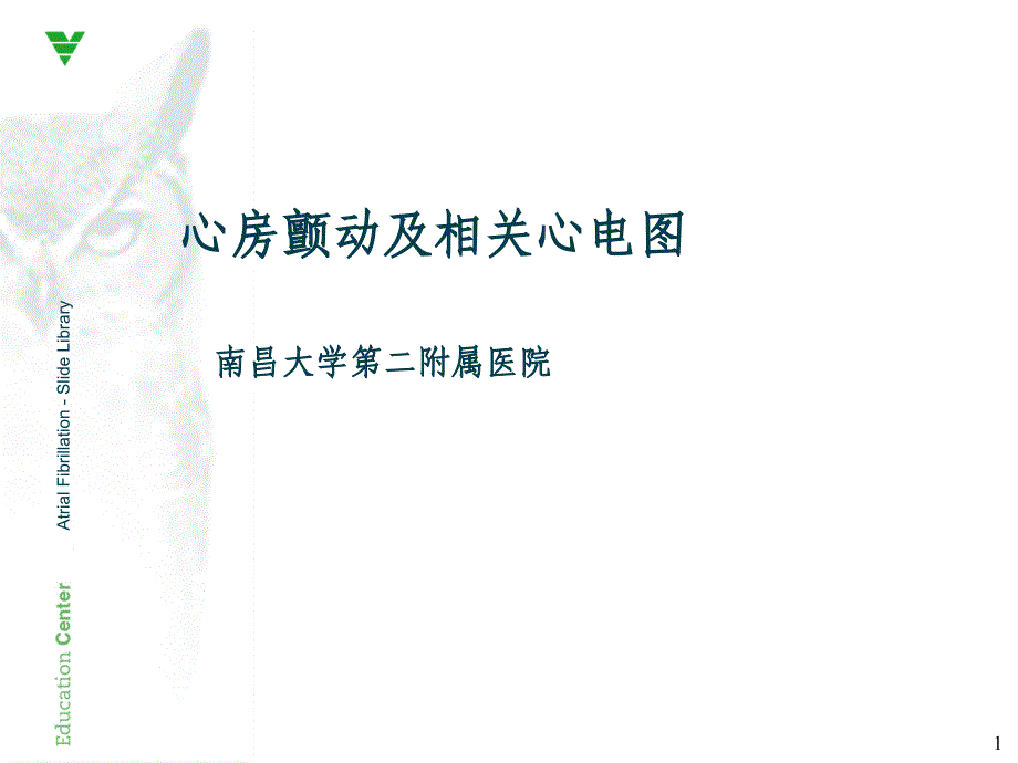 心房颤动及相关心电图_第1页