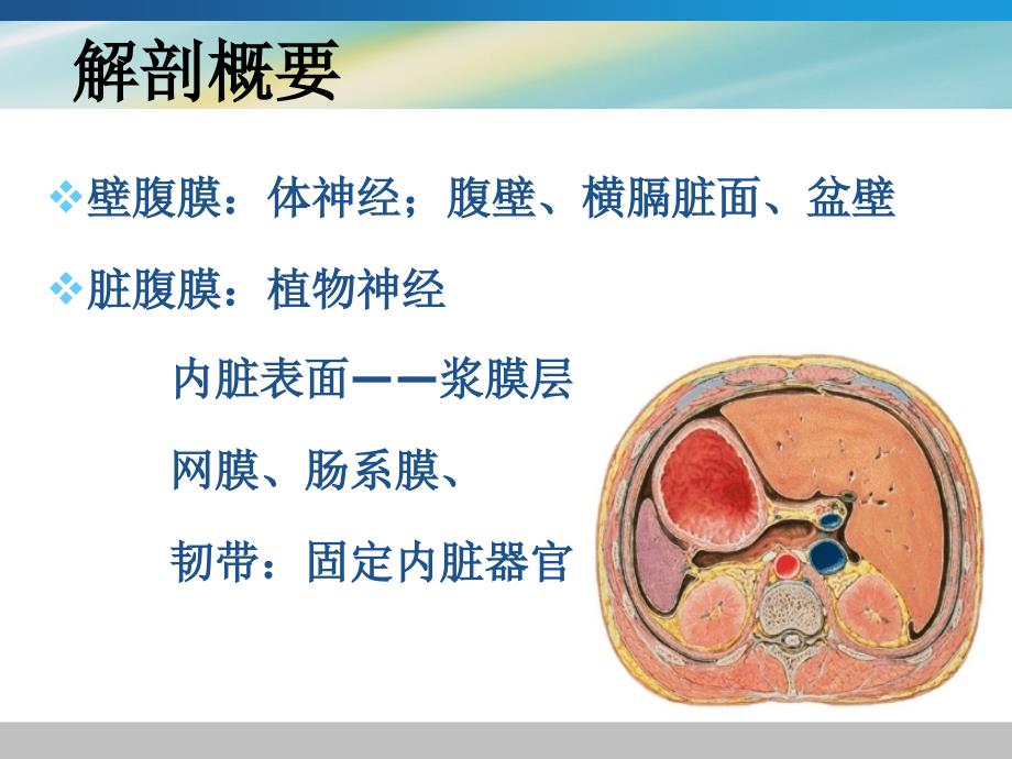 急性化脓性腹膜炎-_第4页