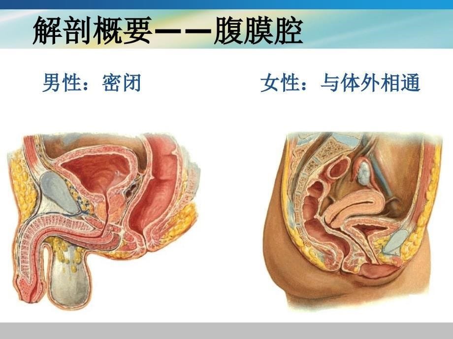 急性化脓性腹膜炎-_第5页