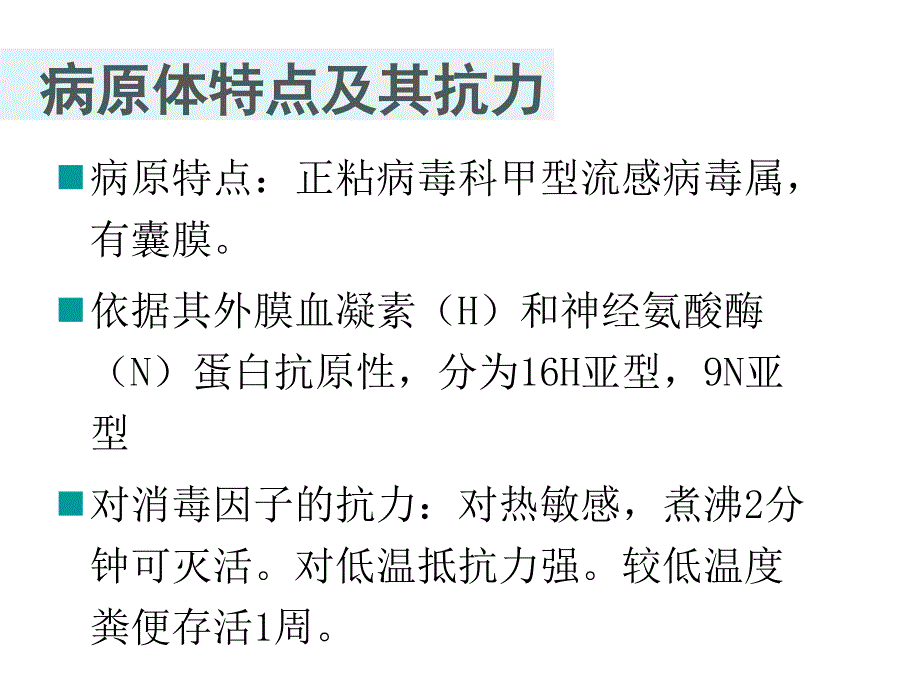 禽流感诊治及防控PPT课件_第4页