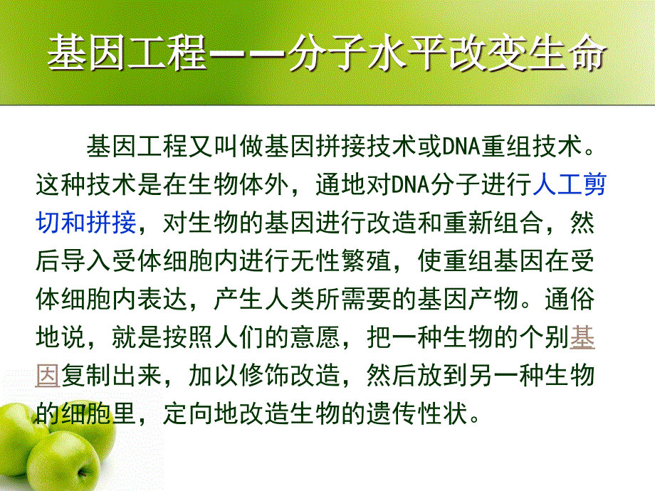 现代生物技术在育种上应用_第3页