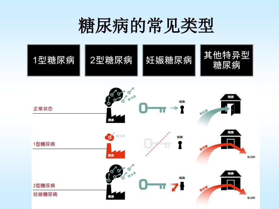 糖化血红蛋白_第3页