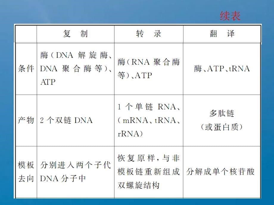 必修第讲基因指导蛋白质的合成ppt课件_第5页