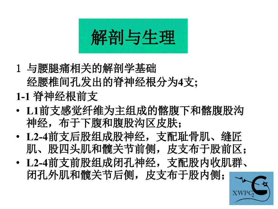 腰椎旁神经阻滞术ppt课件_第2页