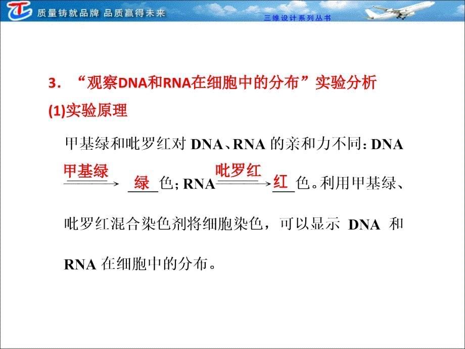 必修一第二章第4节遗传信息的携带者——核酸细胞中的糖类和脂质文档资料_第5页