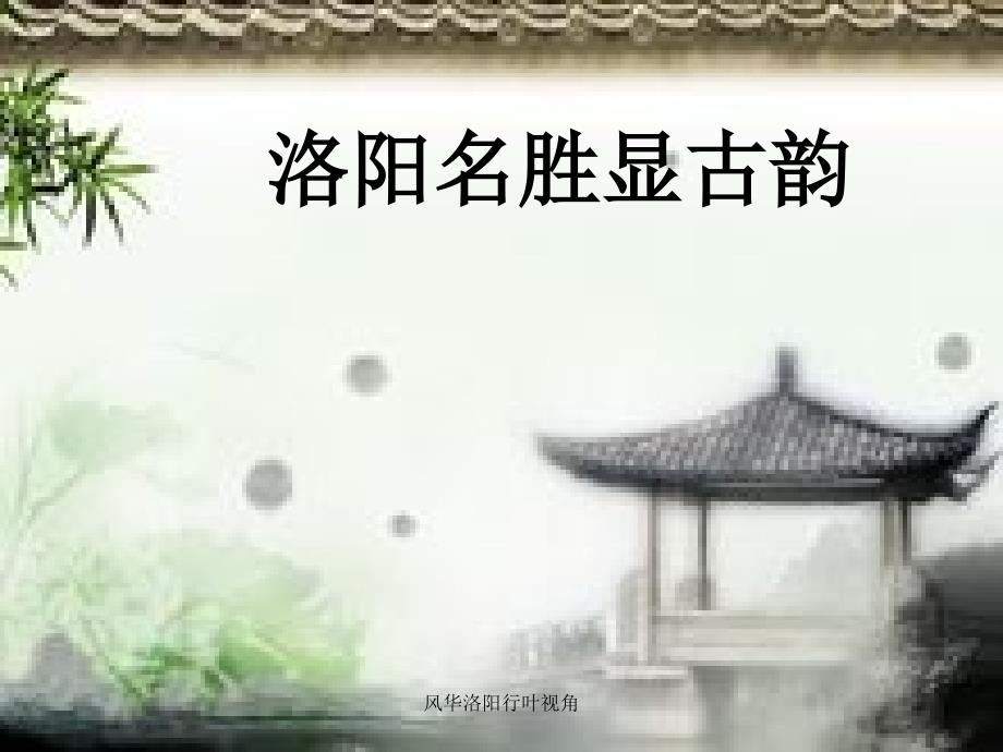 风华洛阳行叶视角_第2页