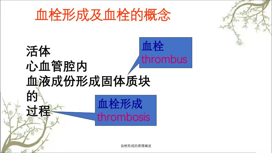 血栓形成的原理阐述_第4页